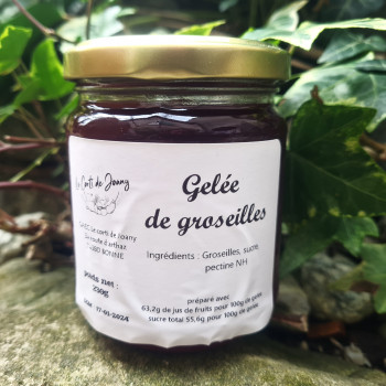 Gelée ou confiture de groseilles