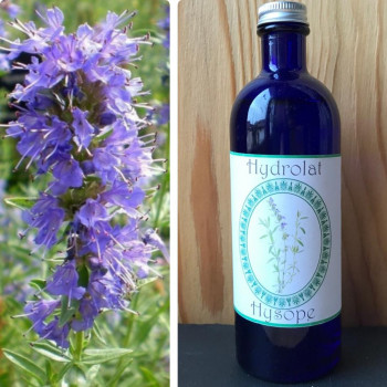 Hydrolat d'Hysope officinale