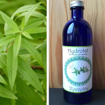Hydrolat de verveine citronnelle
