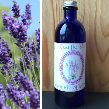 Hydrolat de lavande officinale