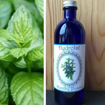 Hydrolat de Menthe poivrée