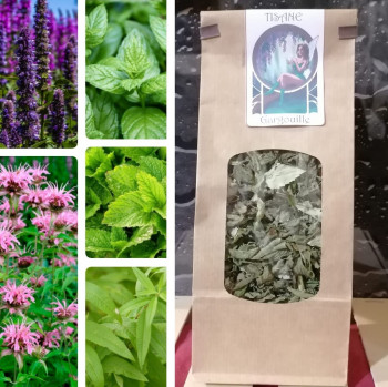 Tisane Gargouille