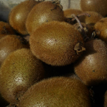 Kiwis