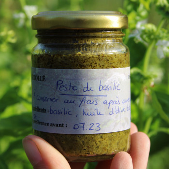 Pesto basilic