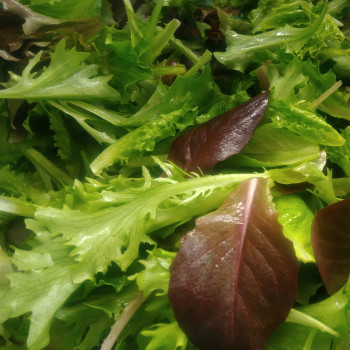 Mesclun