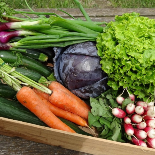 Panier de légumes de saison